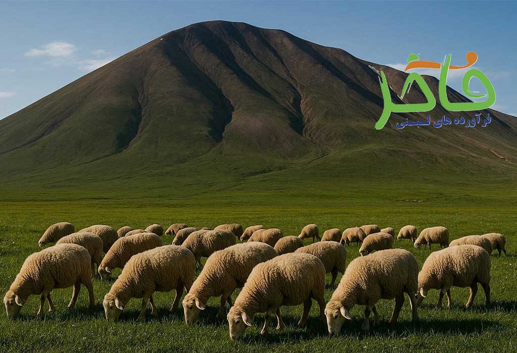 روستای لیقوان